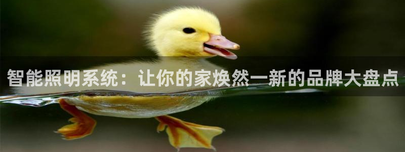 云顶最新t1