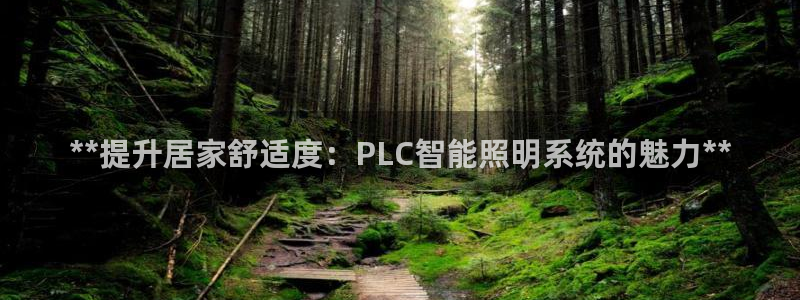 云顶国际服加速器
