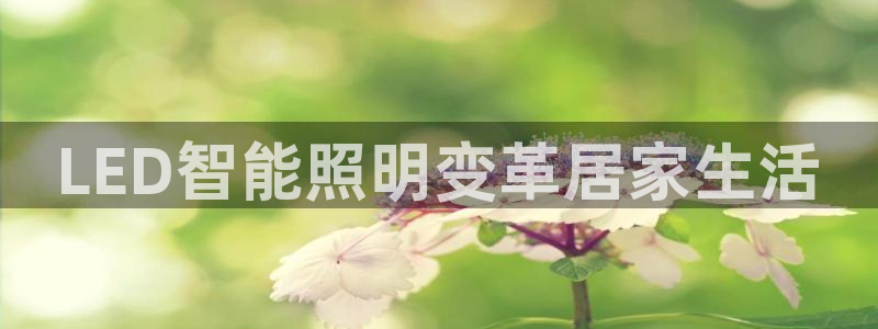 云顶集团有限公司简介资料