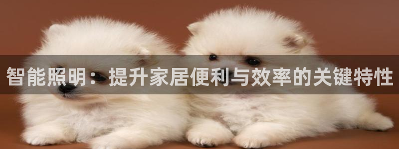 云顶国际app免费下载安卓