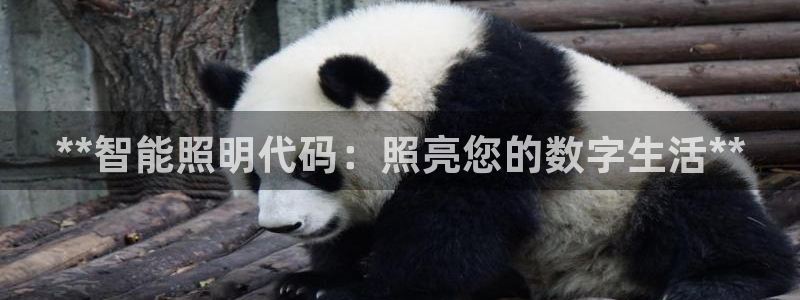 云顶国际高中d s e班学费多少