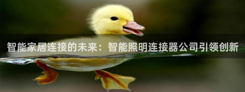 云顶国际酒店怎么样