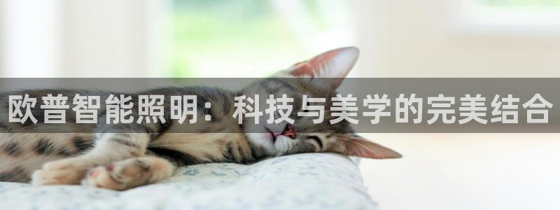 云顶国际部