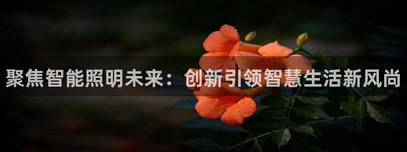 云顶集团有限公司招聘