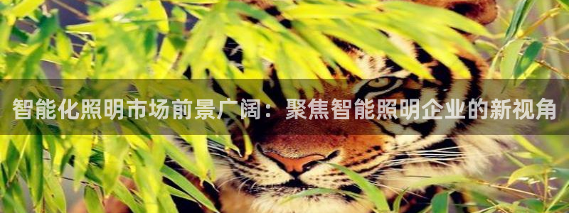 云顶国际是正规平台吗