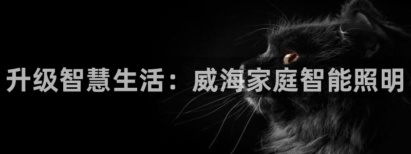 云顶国际(集团)开发实业有限公司