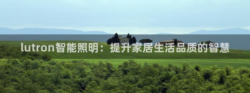 云顶国际物流有限公司