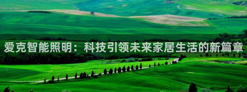 云顶集团游戏app8293