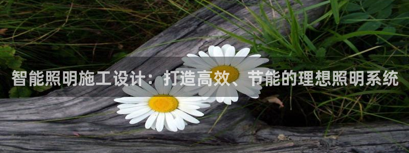 云顶国际服下载
