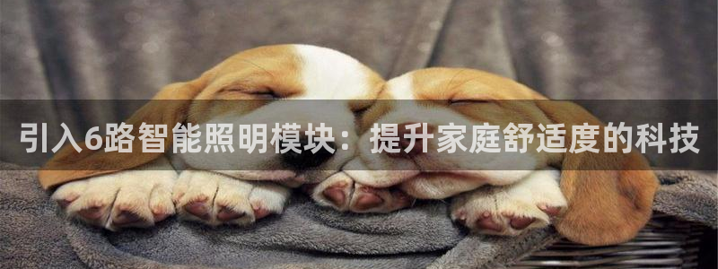 云顶国际游戏平台