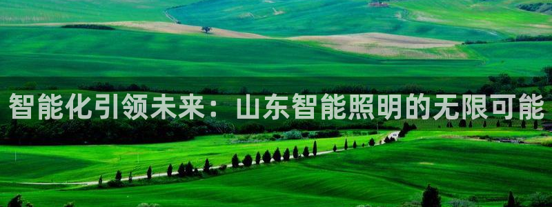 云顶手游国际服账号