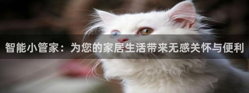 云顶国际app手机版：智能小管家：为您的