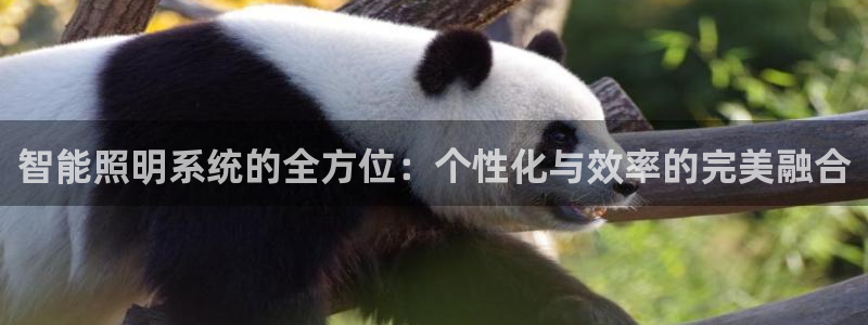 云顶国际晟荣协会荣誉奖项