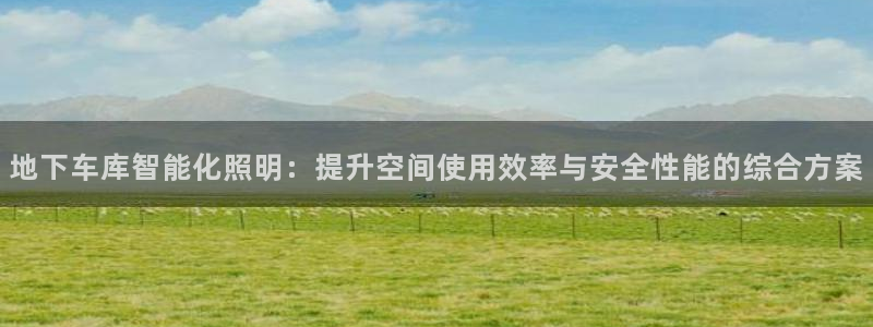 中国云顶集团