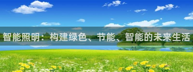 云顶集团游戏app苹果版：智能照明：构建