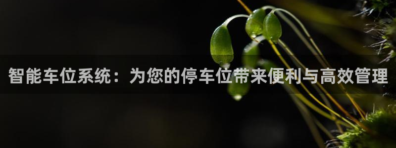 太原云顶国际酒店郝睿
