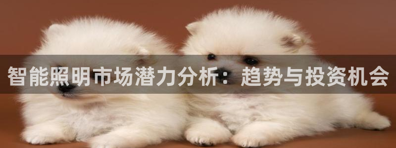云顶国际yd333