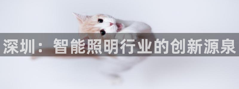 云顶集团中国分公司