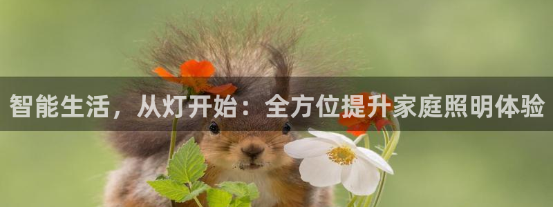 云顶集团有限公司简介地址